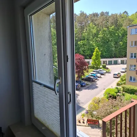 Sopotkowo Wyjątkowy *